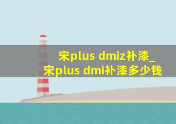 宋plus dmiz补漆_宋plus dmi补漆多少钱